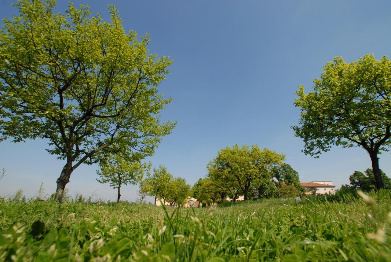 Agriturismo Corte Carezzabella San Martino di Venezze Exterior photo